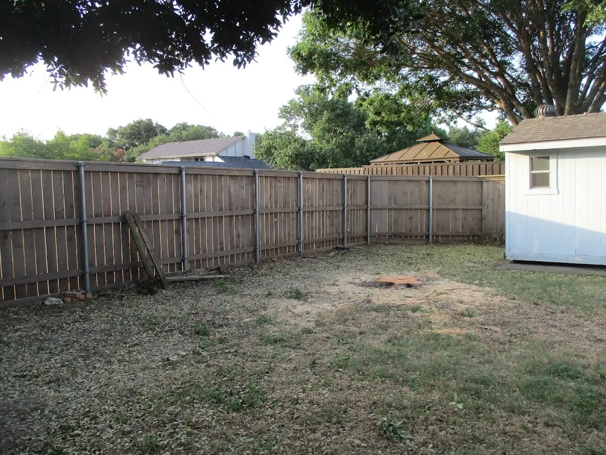 Cleared yard after professional tree removal in Ypsilanti